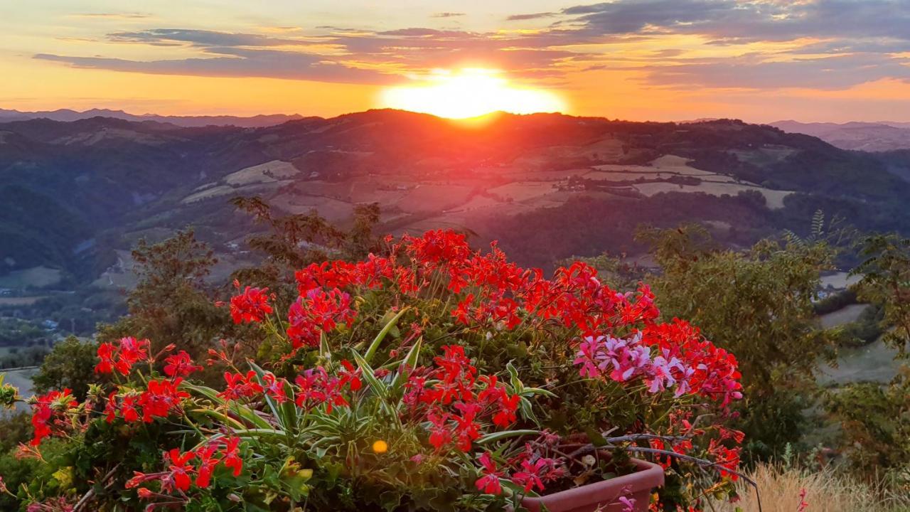 B&B Marcantonio Country House Sogliano al Rubicone Exterior foto
